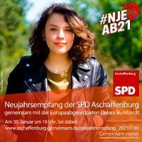 Delara Burkhardt, Europaabgeordnete