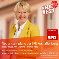 Martina Fehlner, Landtagsabgeordnete