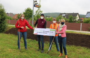 Blühstreifen in Obernau