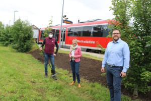 Blühstreifen in Obernau