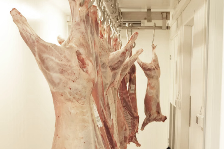 230721_Schlachthof_header